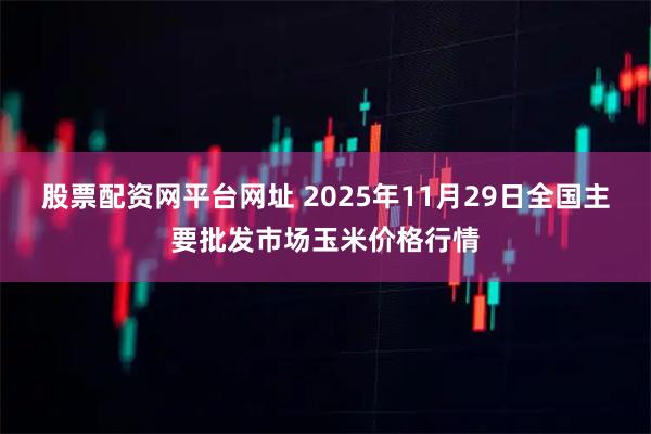 股票配资网平台网址 2025年11月29日全国主要批发市场玉米价格行情