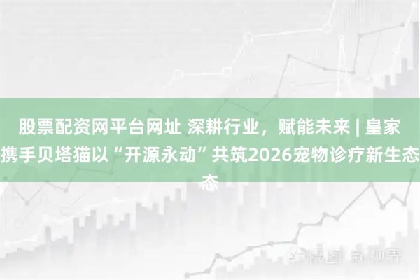 股票配资网平台网址 深耕行业，赋能未来 | 皇家携手贝塔猫以“开源永动”共筑2026宠物诊疗新生态